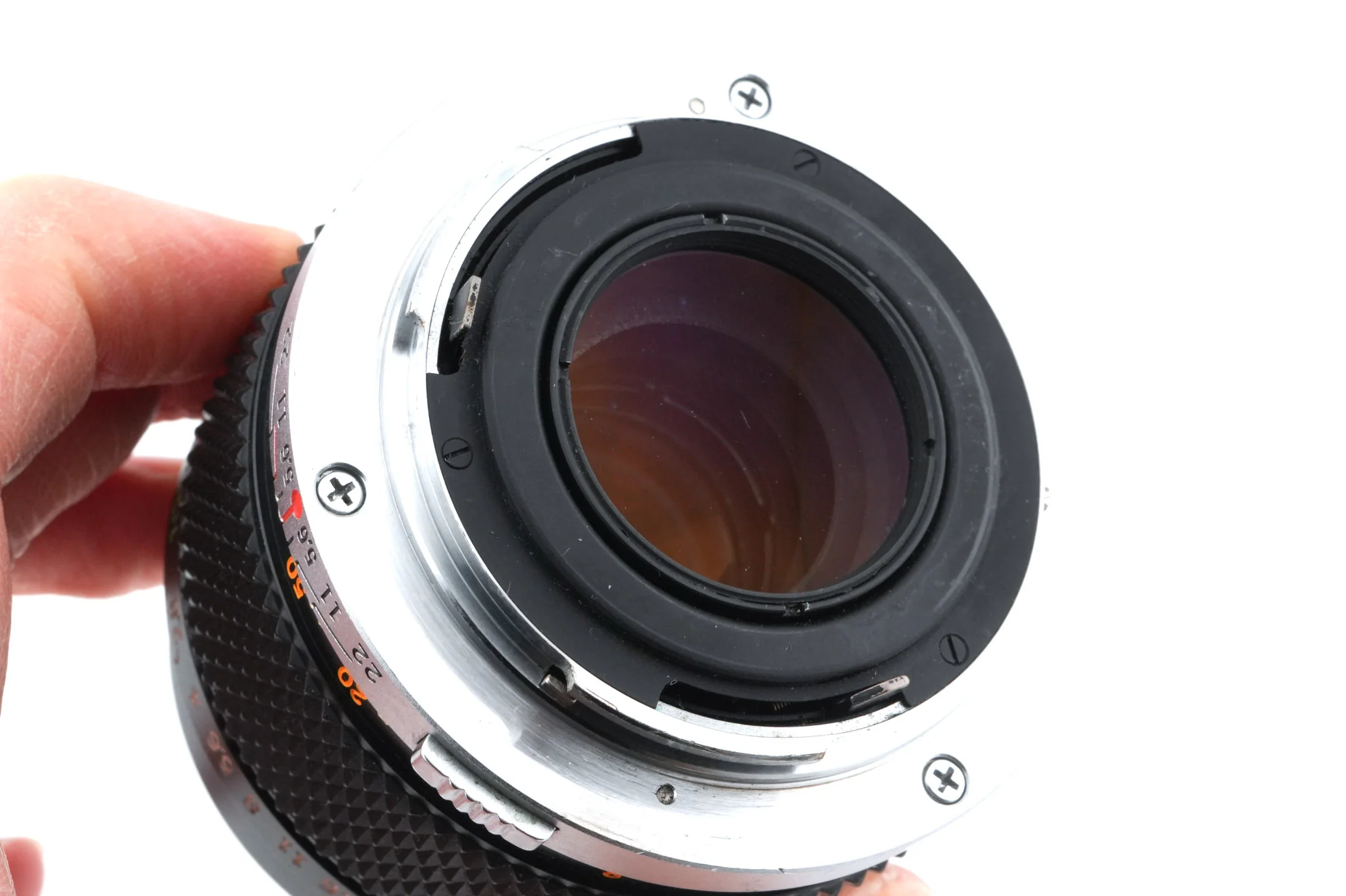 Olympus 100mm f2.8 E.Zuiko Auto-T - Image 4