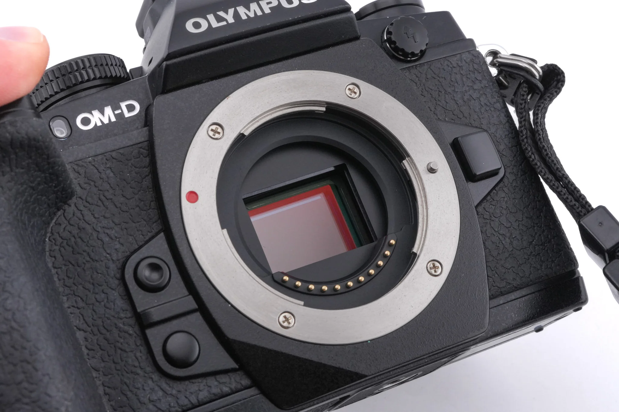 Olympus OM-D E-M1 - Image 8