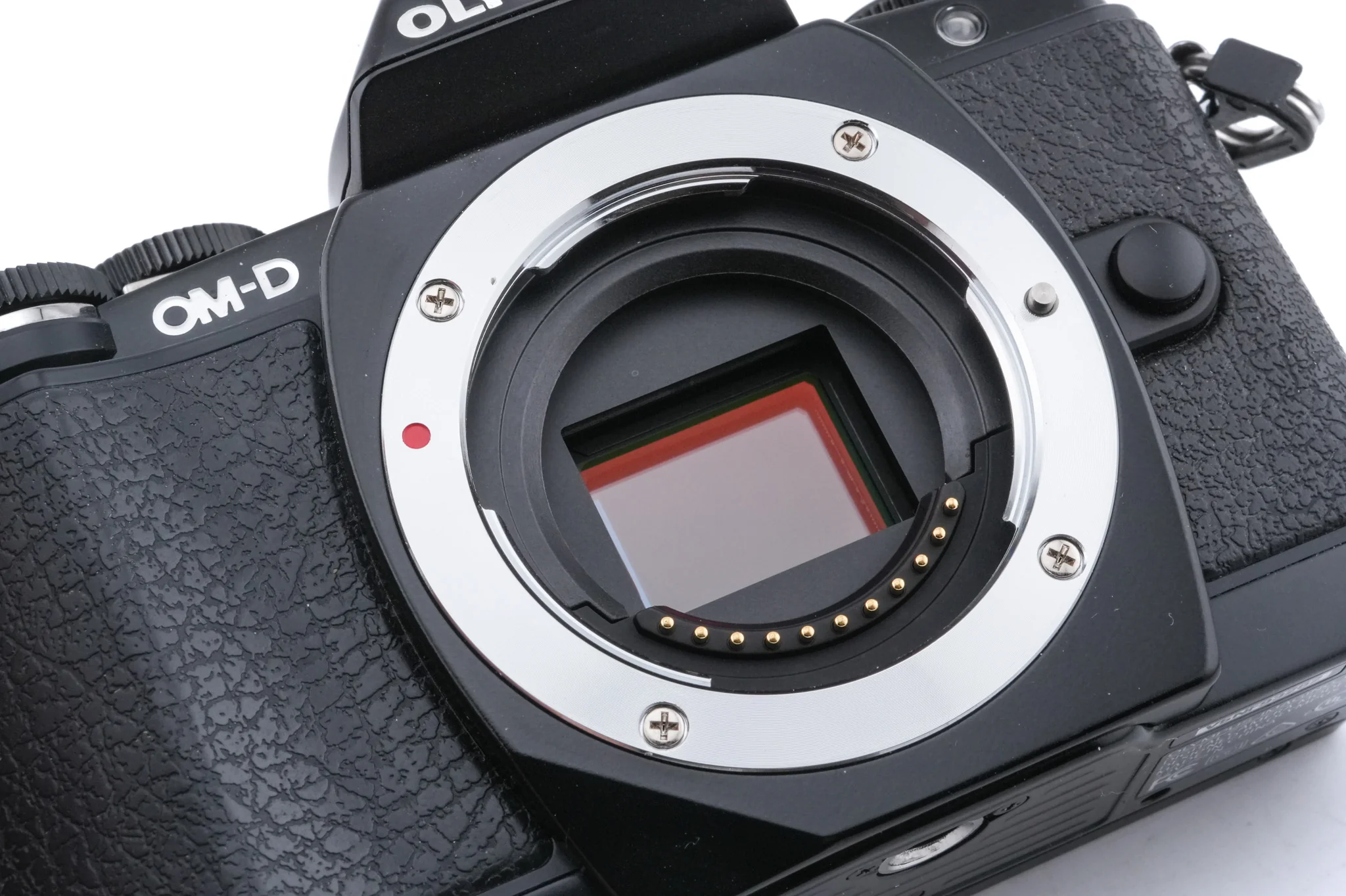 Olympus OM-D E-M10 - Image 5