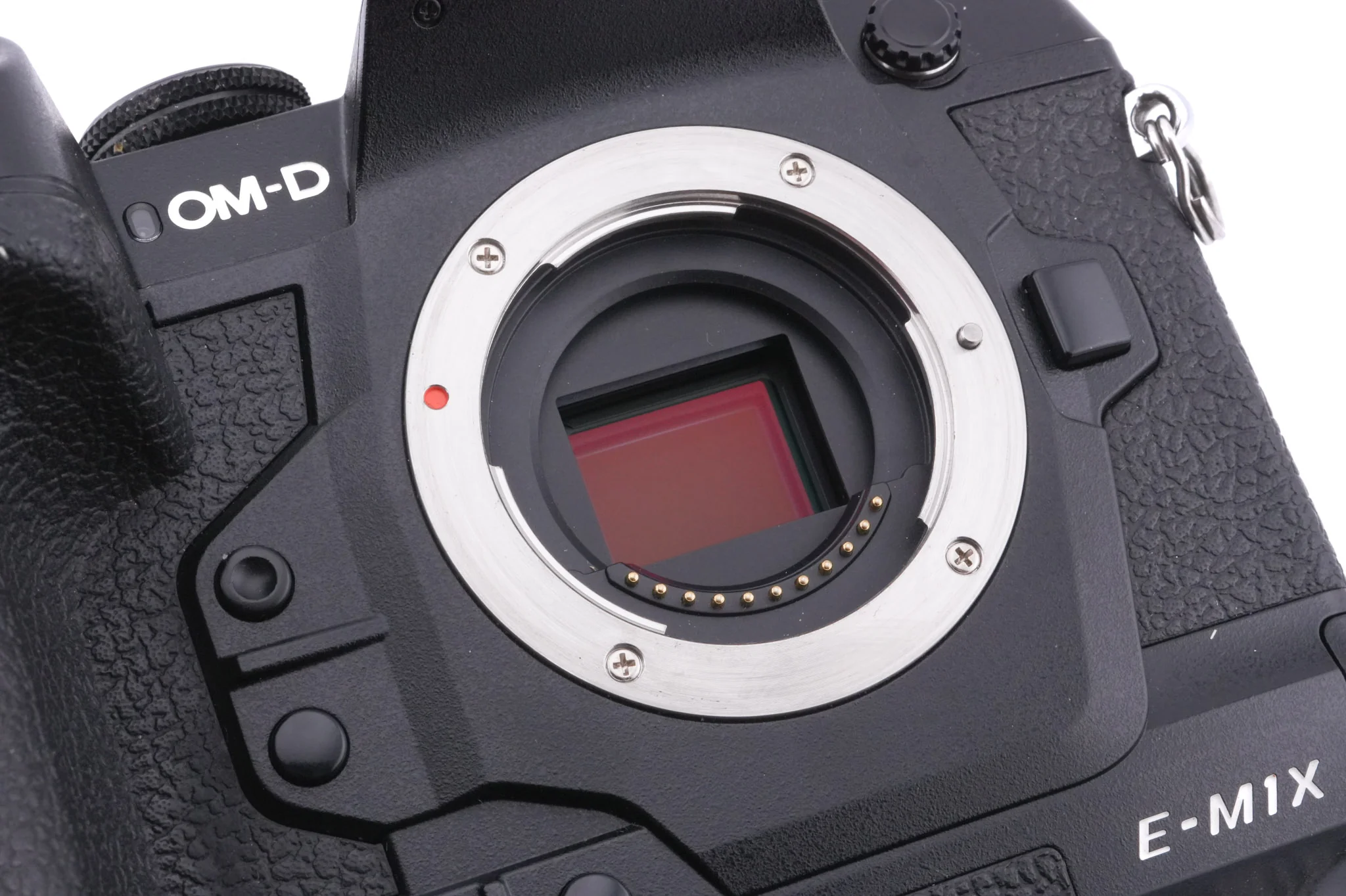Olympus OM-D E-M1X - Image 7