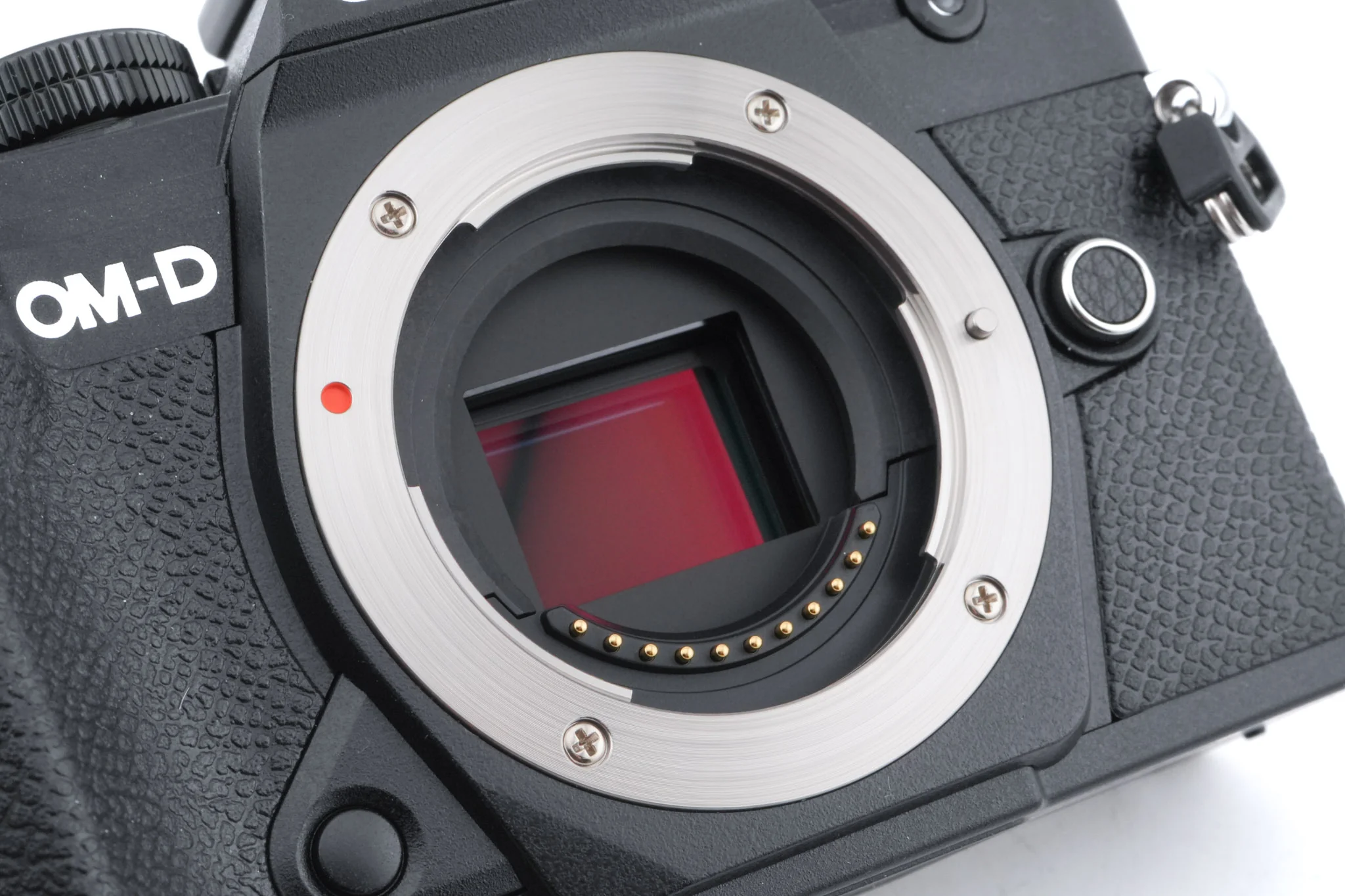 Olympus OM-D E-M5 Mark III - Image 7