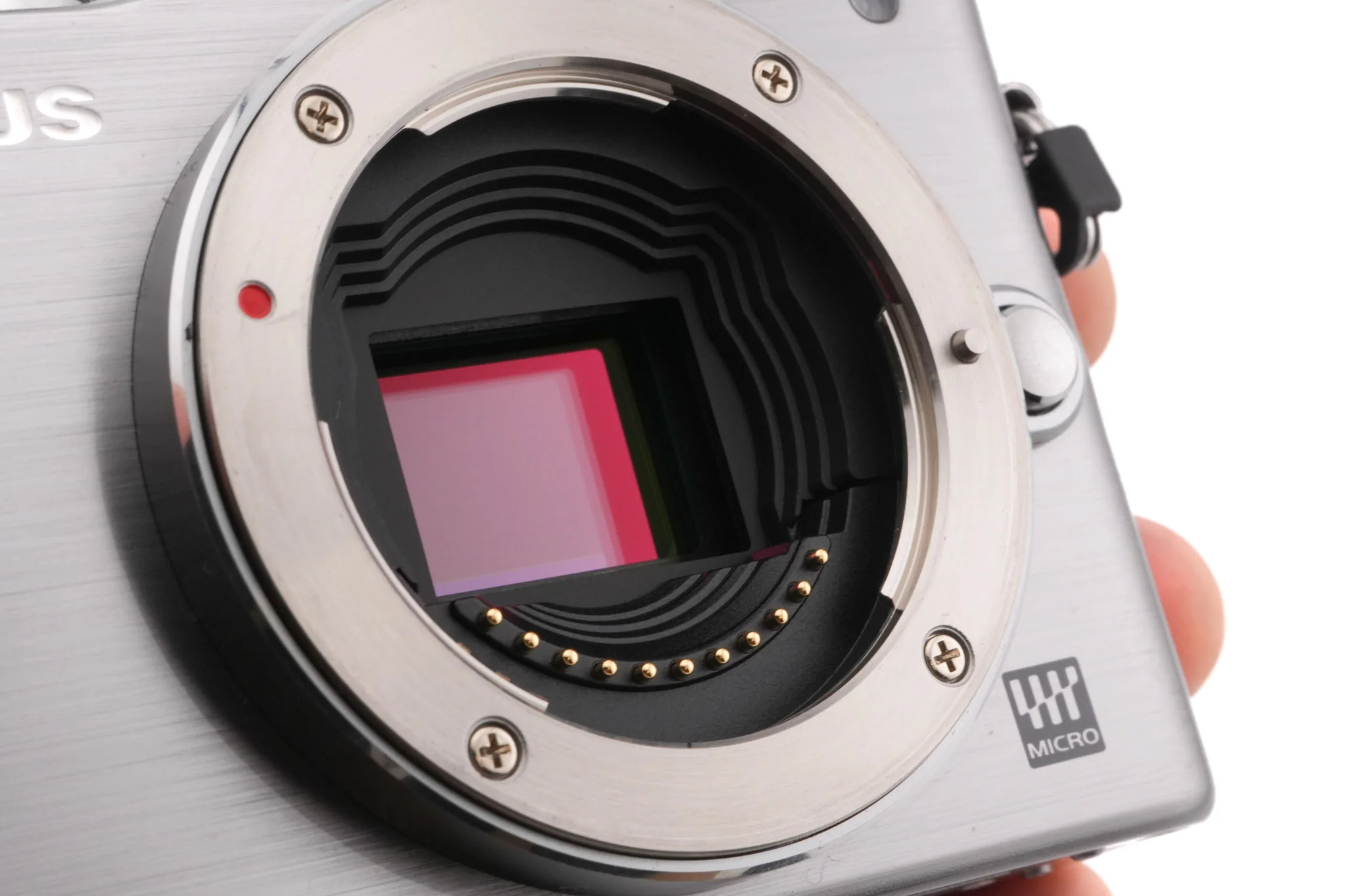 Olympus PEN E-PL3 - Image 3
