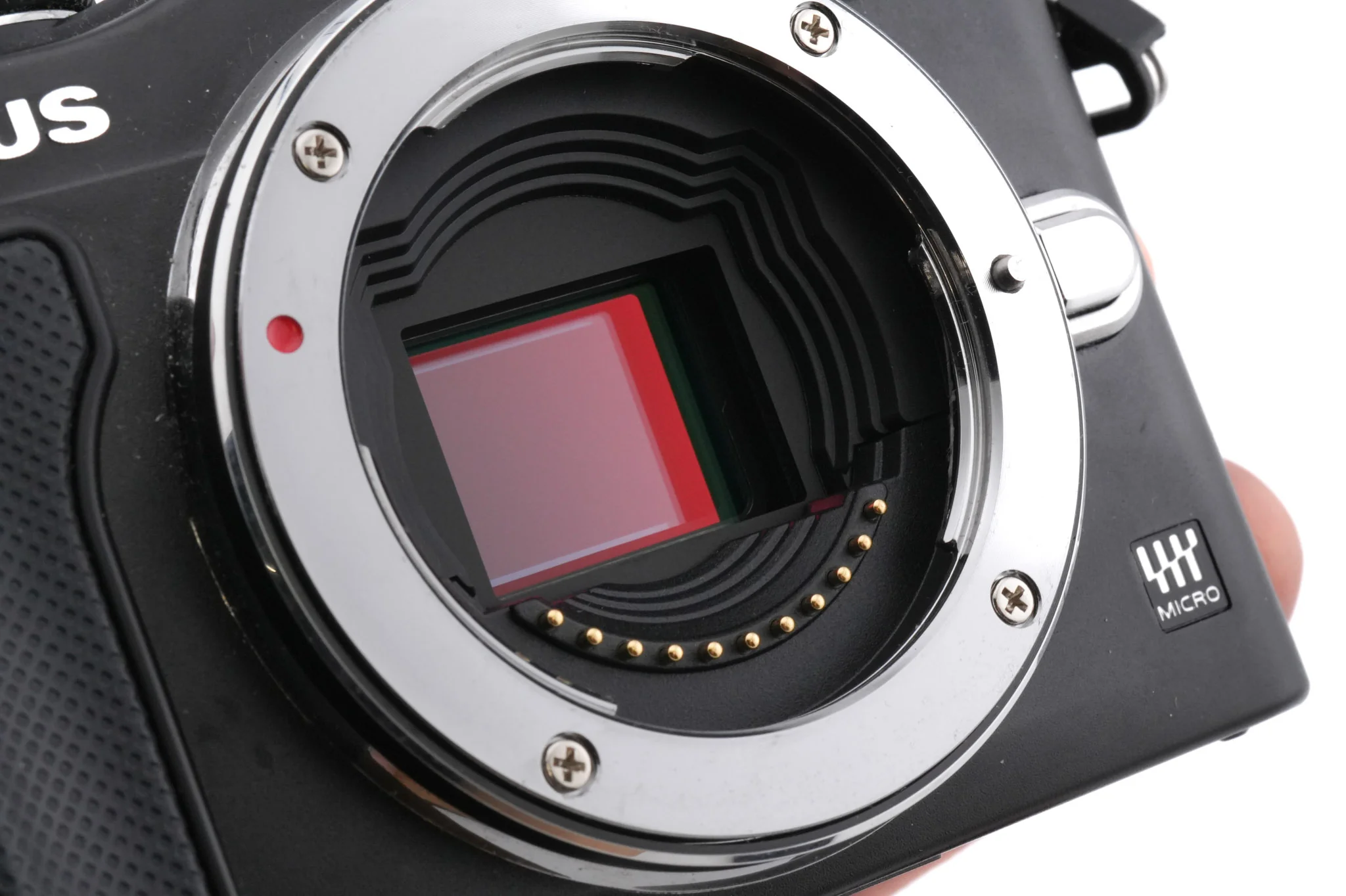 Olympus PEN E-PL5 - Image 4