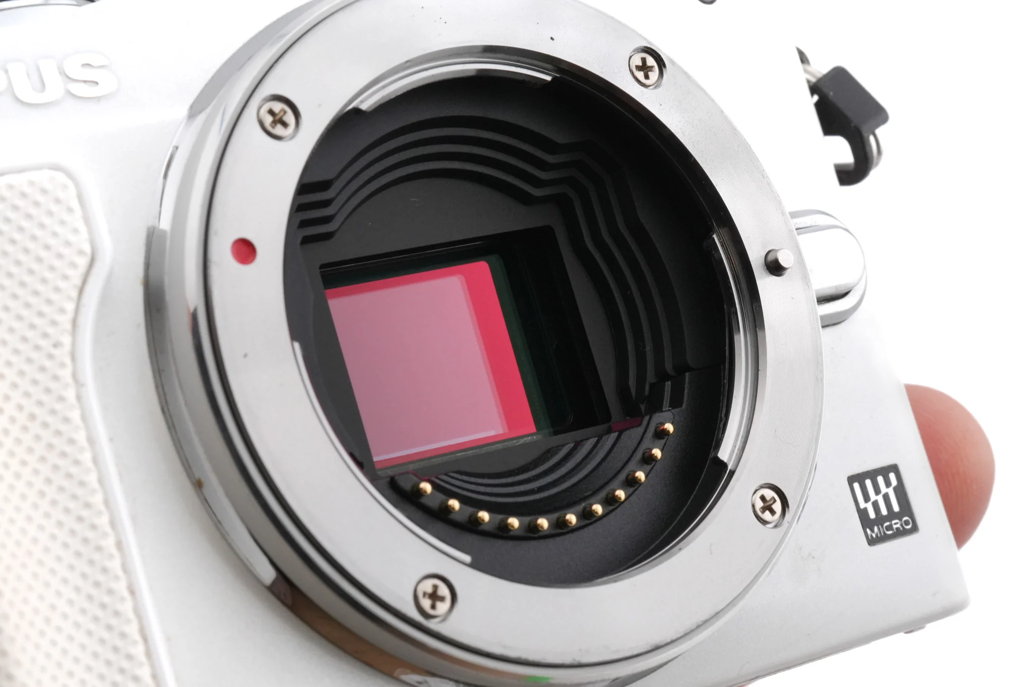 Olympus PEN E-PL6 + FL-LM1 Flash - Image 3