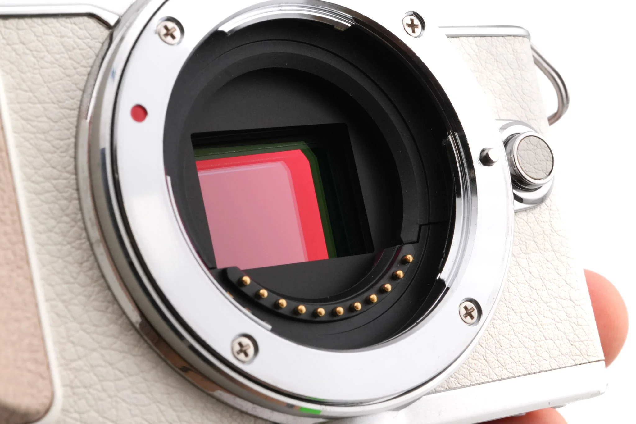 Olympus PEN E-PL7 - Image 4