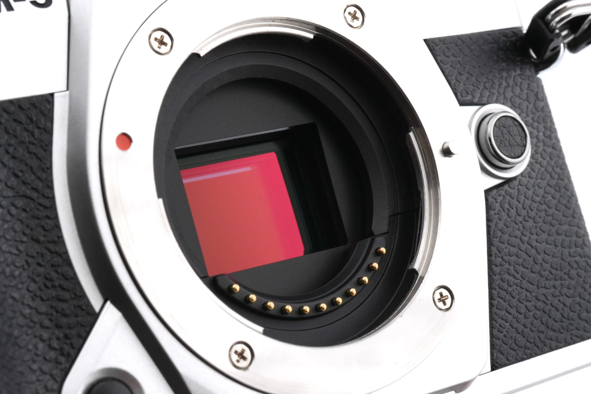 OM System OM-5 II - Image 5
