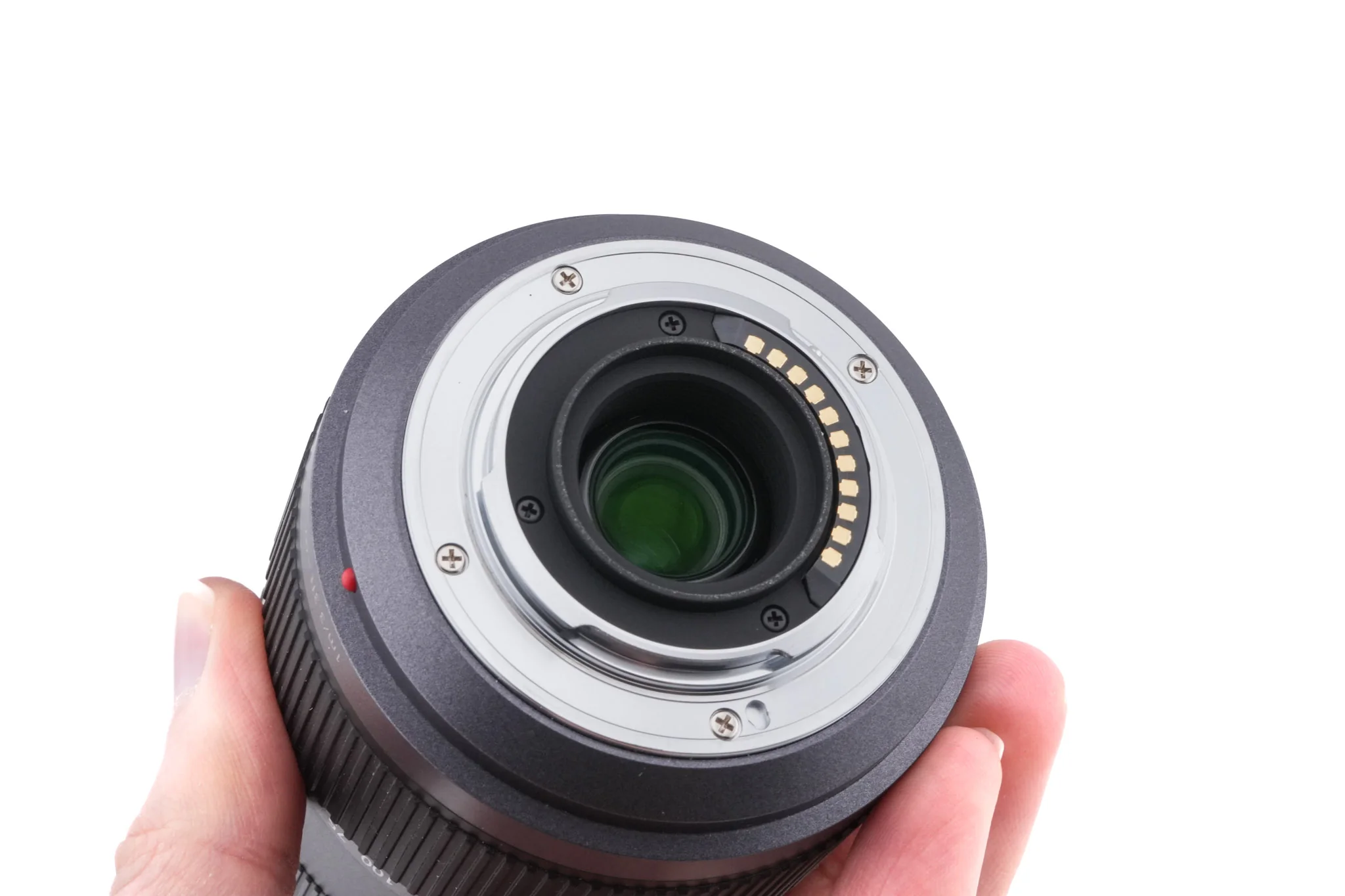 Panasonic 45-200mm f4-5.6 Lumix G Vario Mega O.I.S. (H-FS045200) - Image 4
