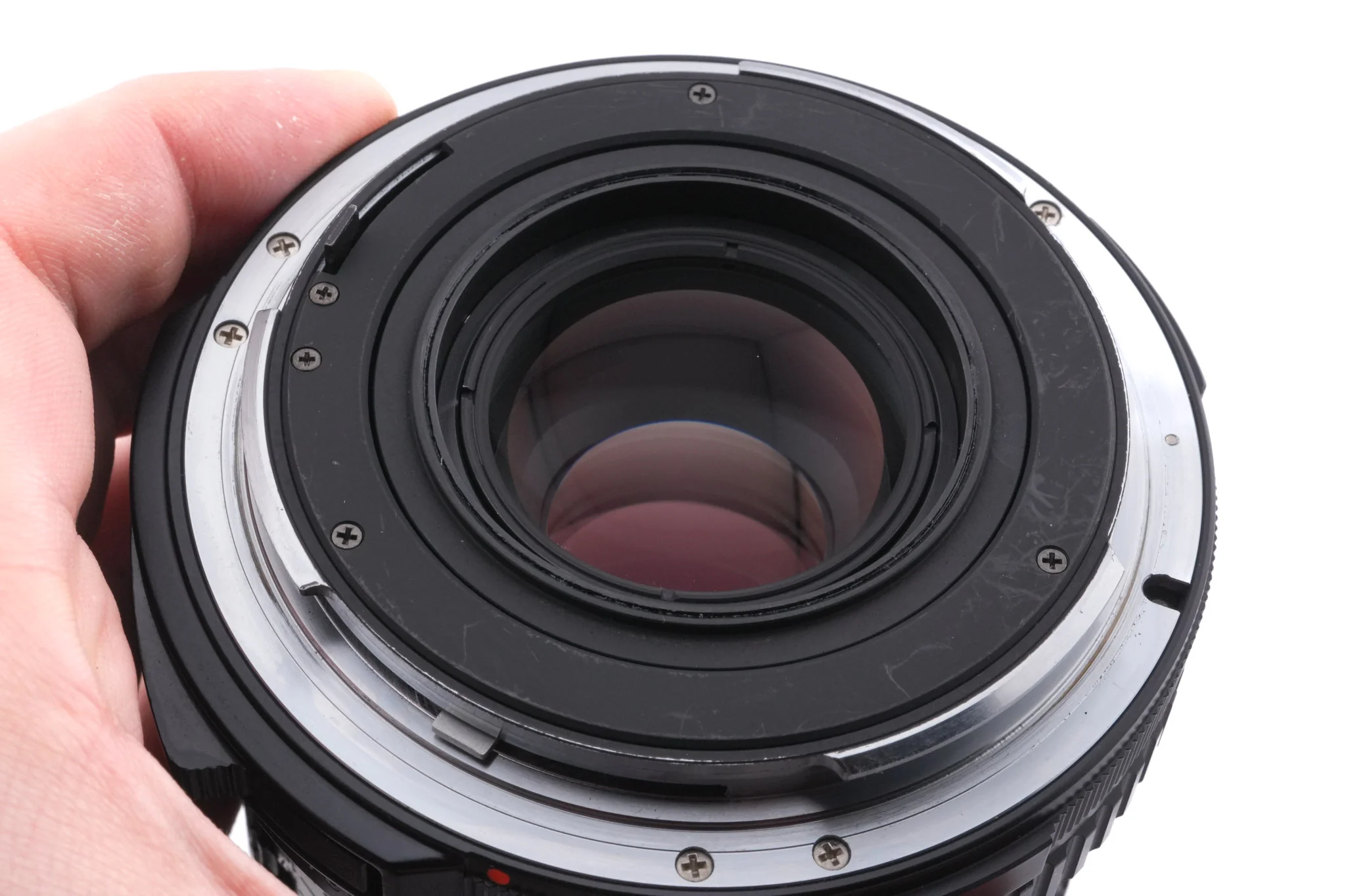 Pentax 100mm f4 SMC Macro Pentax 67 + SMC Life-Size Converter 67 - Image 7