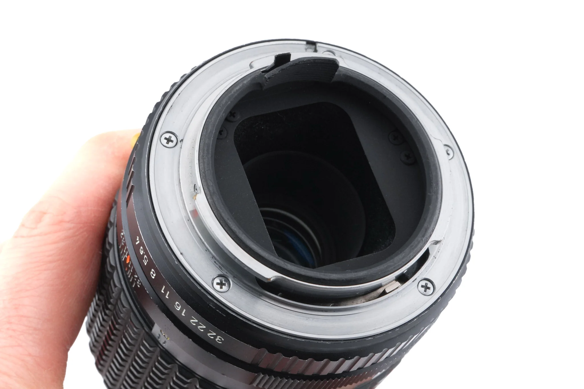 Pentax 100mm f4 SMC Pentax-M Macro - Image 4