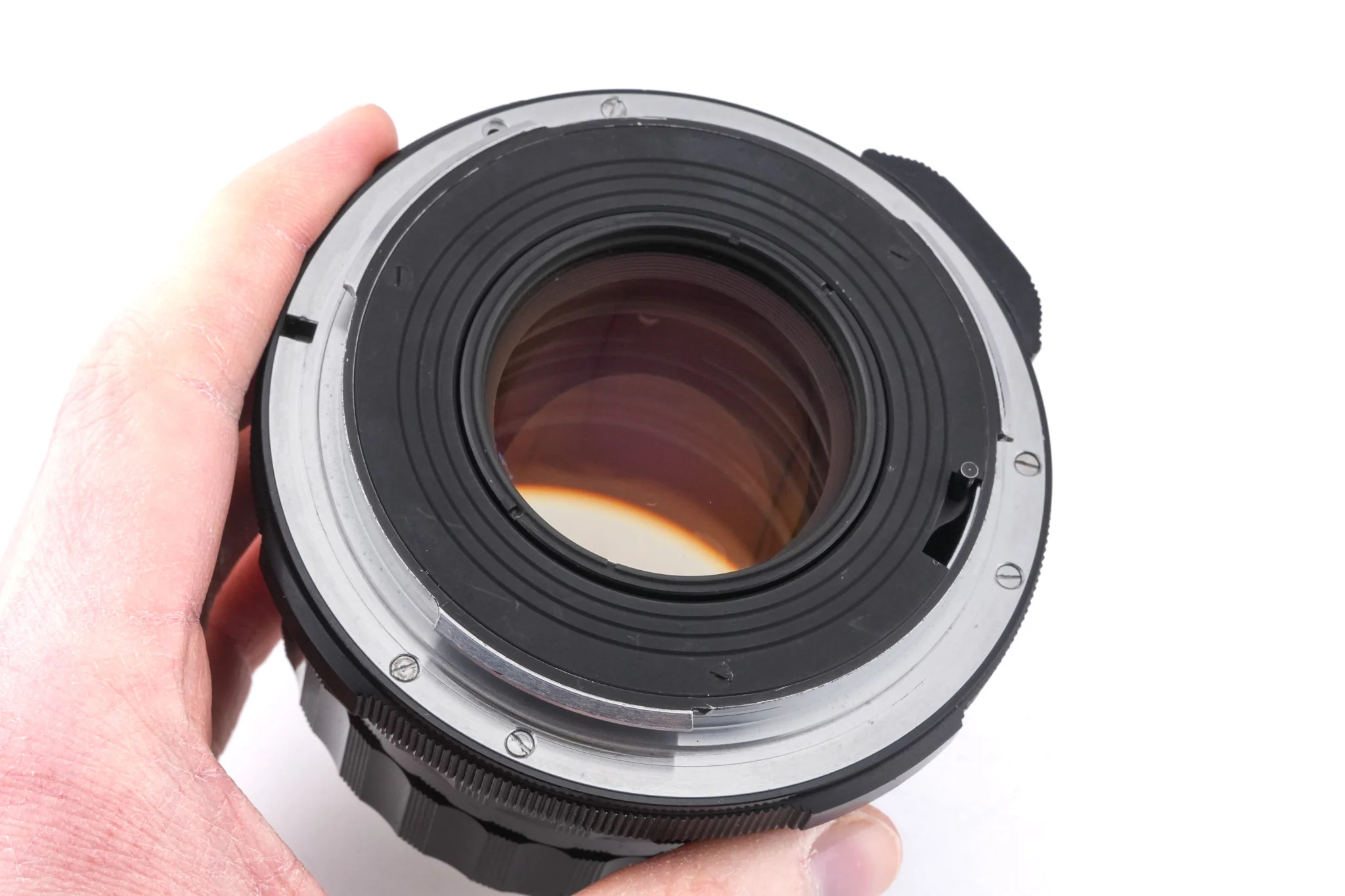 Pentax 105mm f2.4 Super-Takumar - Image 6