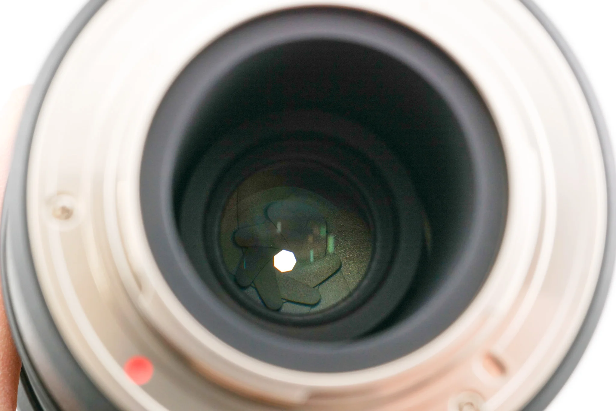 Samyang 12mm F2.8 ED AS NCS Fish-Eye - Image 4