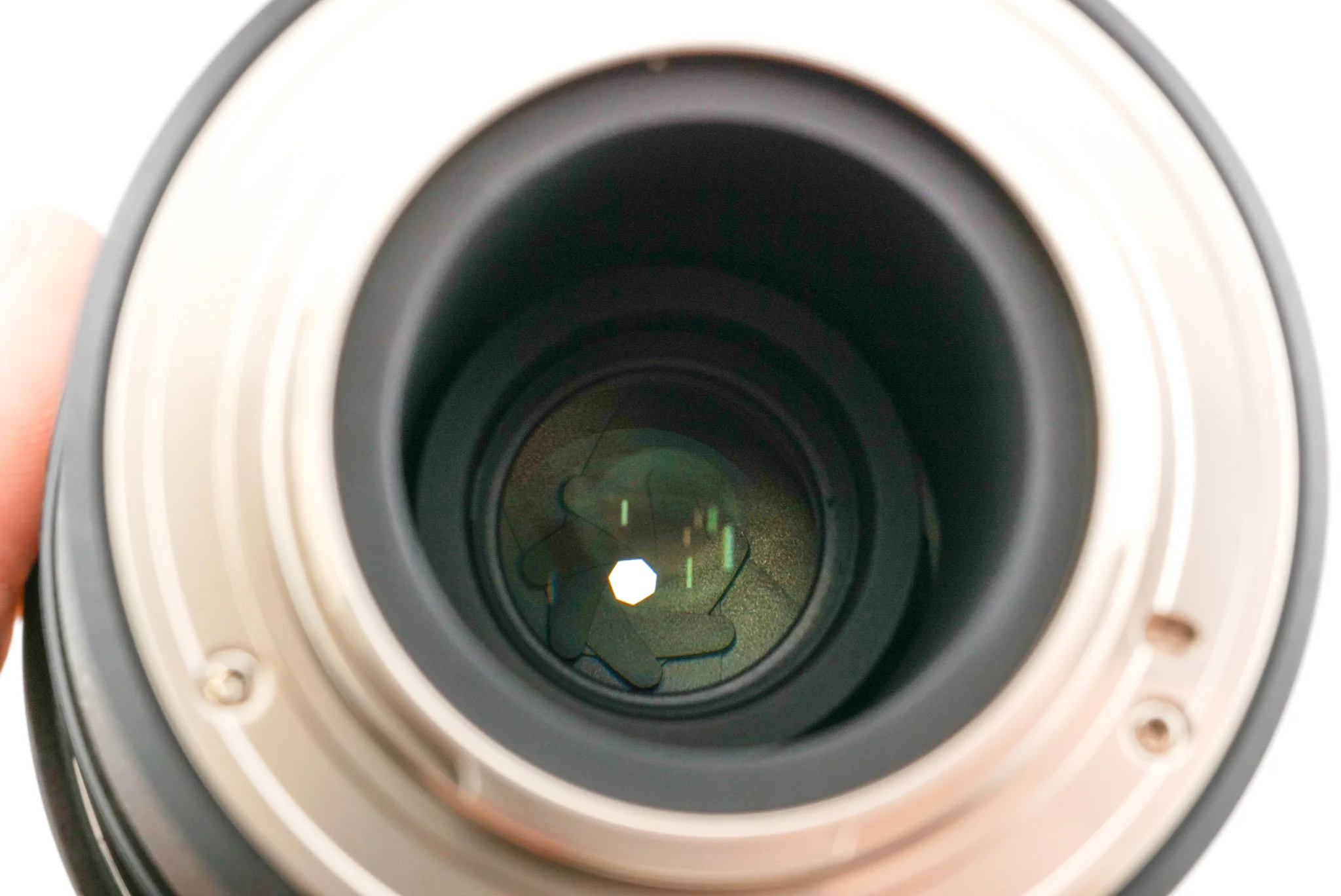 Samyang 12mm F2.8 ED AS NCS Fish-Eye - Image 4