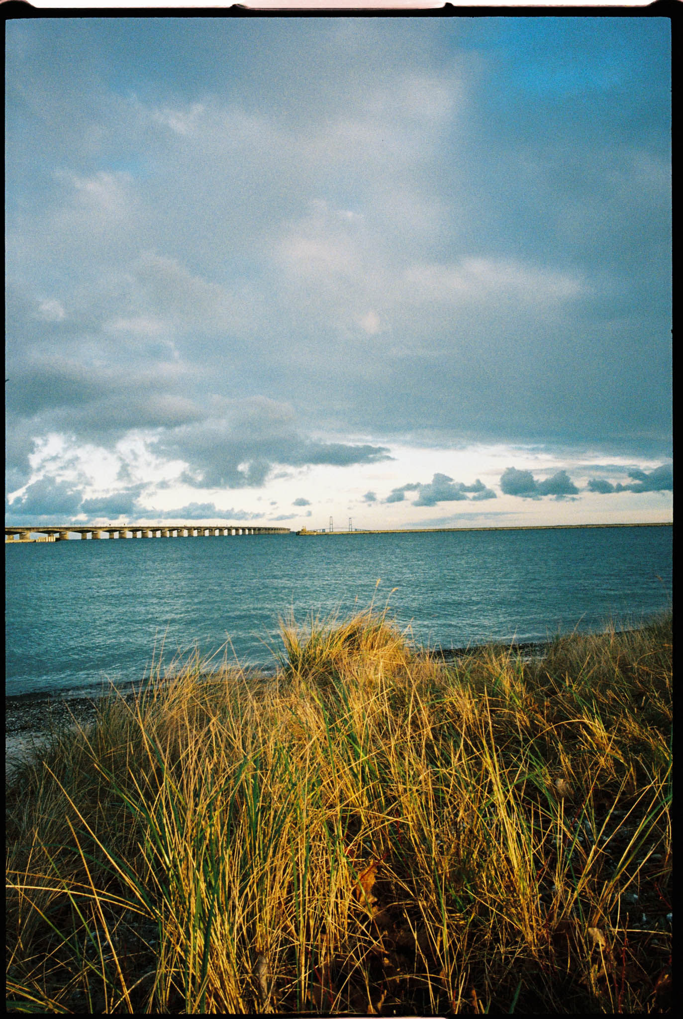 SantaColor 800 (35mm) 36 Exp. - Image 11