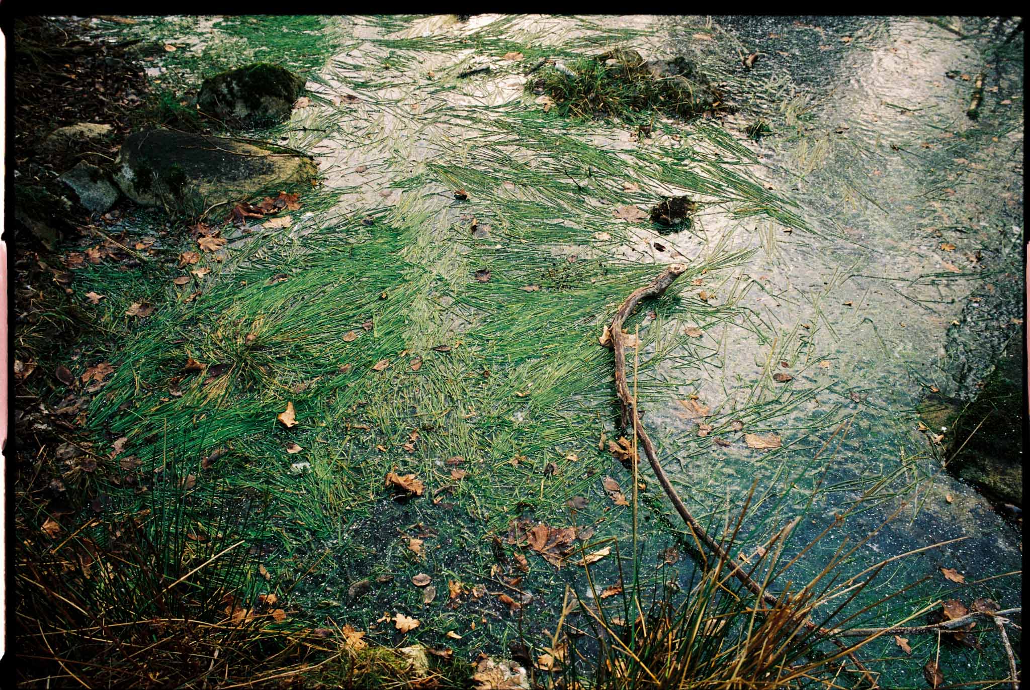 SantaColor 800 (35mm) 36 Exp. - Image 14