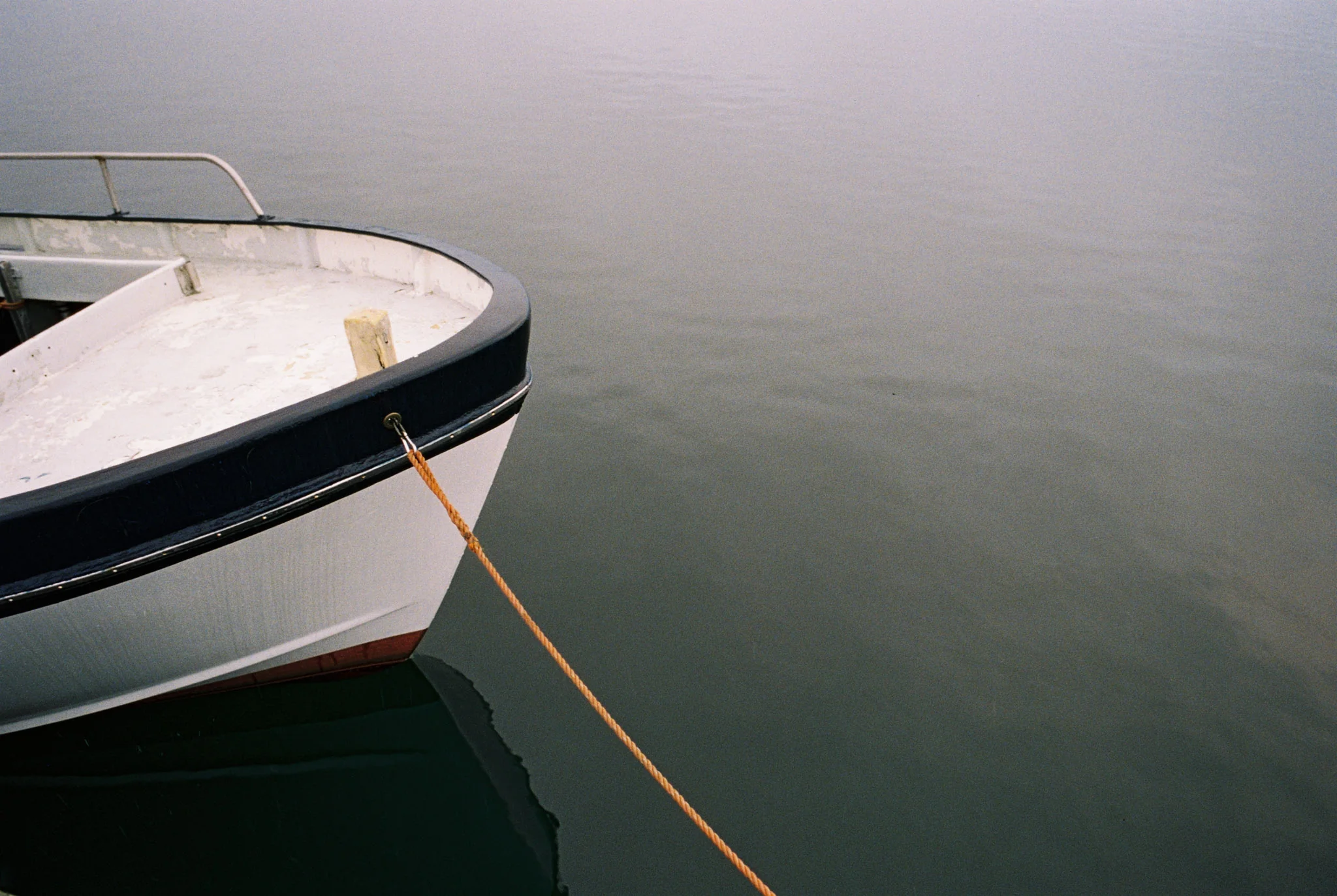 SantaColor 800 (35mm) 36 Exp. - Image 19