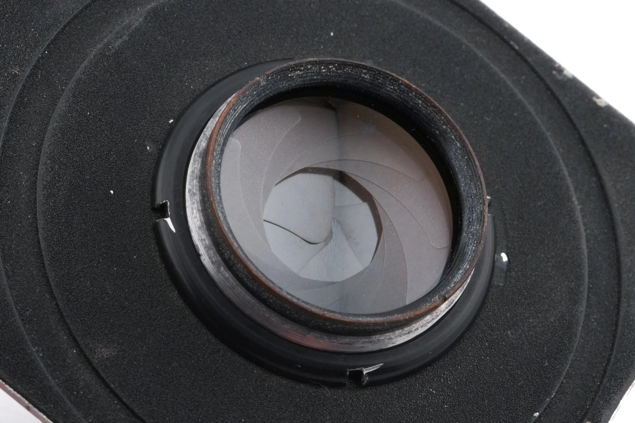 Schneider-Kreuznach 105mm f3.5 Xenar (Shutter) - Image 4