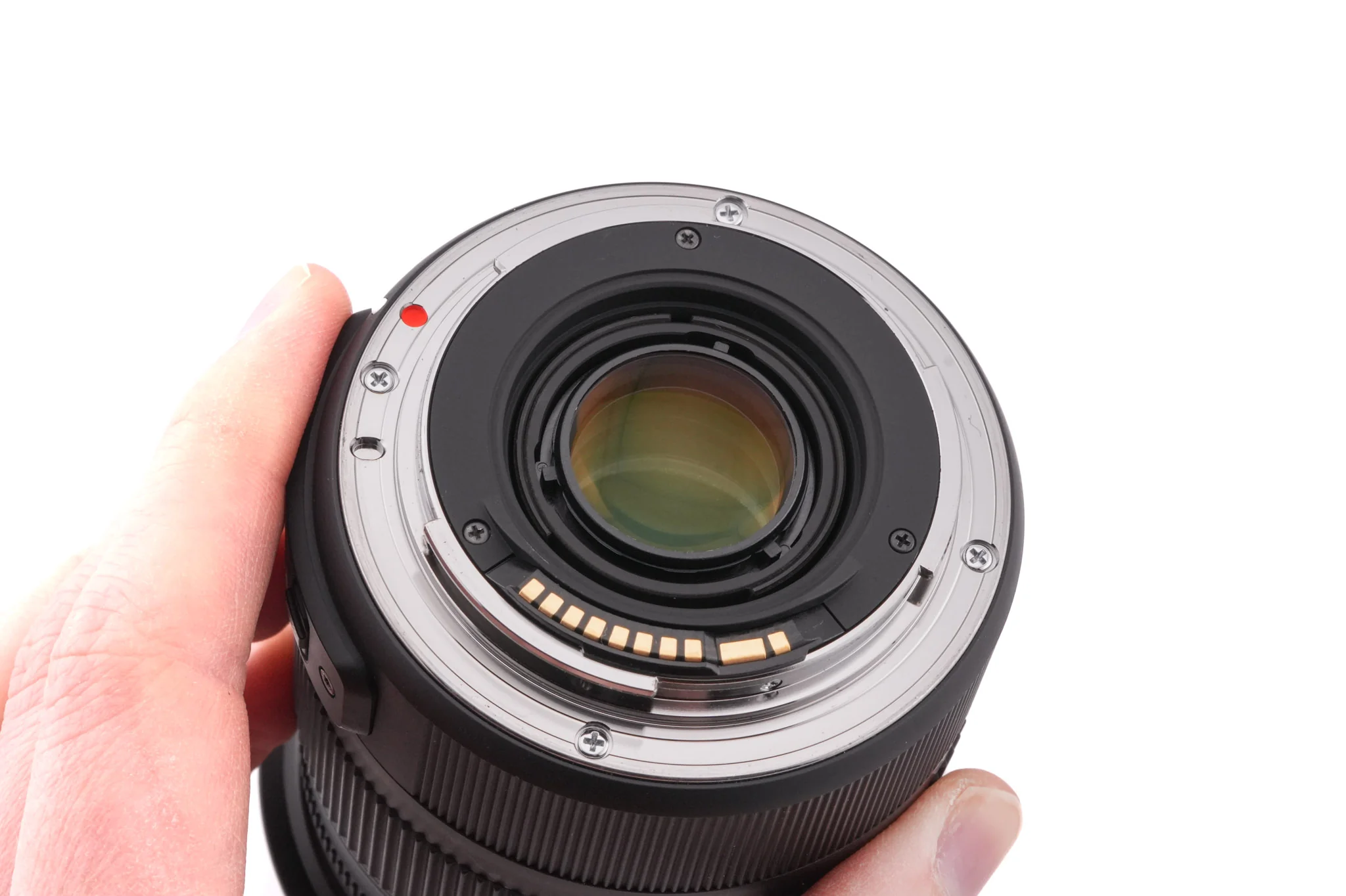 Sigma 17-70mm f2.8-4 DC Macro OS HSM Contemporary - Image 6