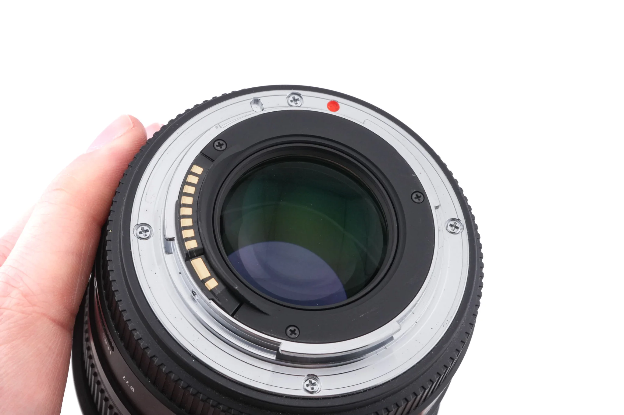 Sigma 50mm f1.4 EX DG HSM - Image 4