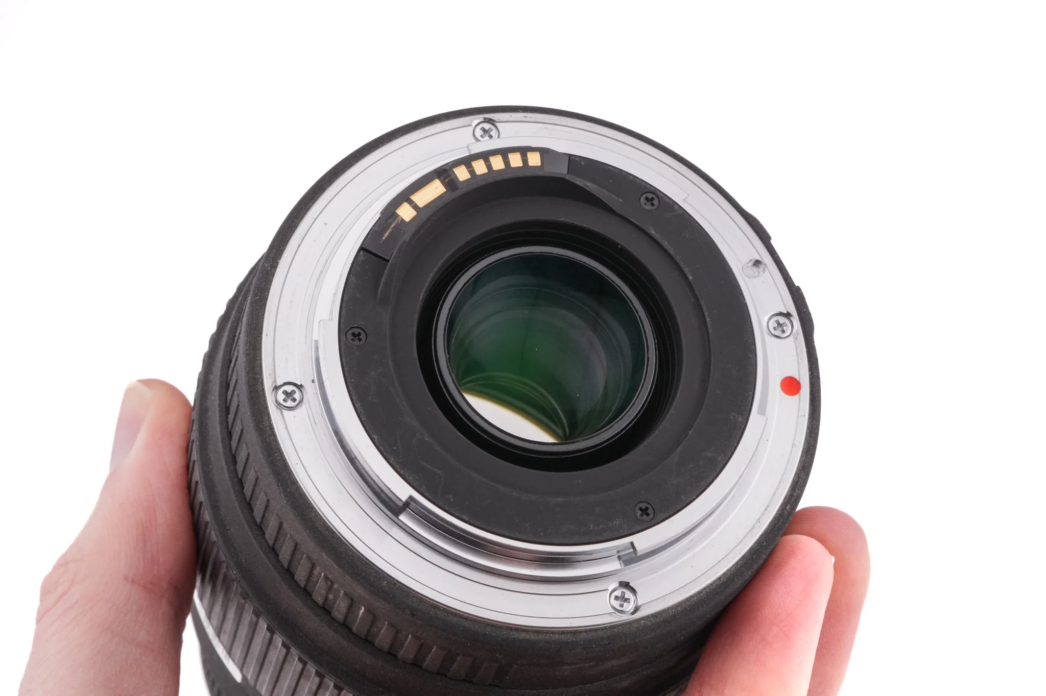 Sigma 70-300mm f4-5.6 DG Macro - Image 6
