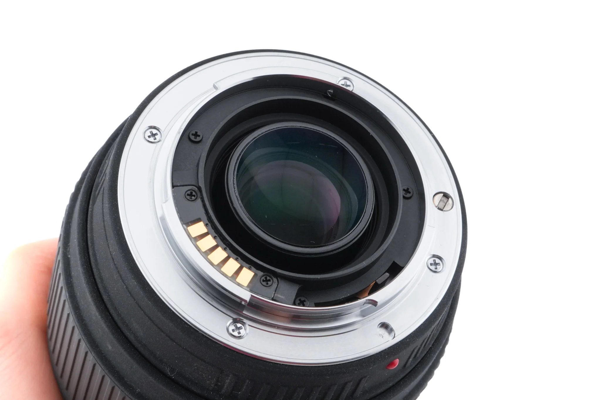 Sigma 70-300mm f4-5.6 DG Macro - Image 4