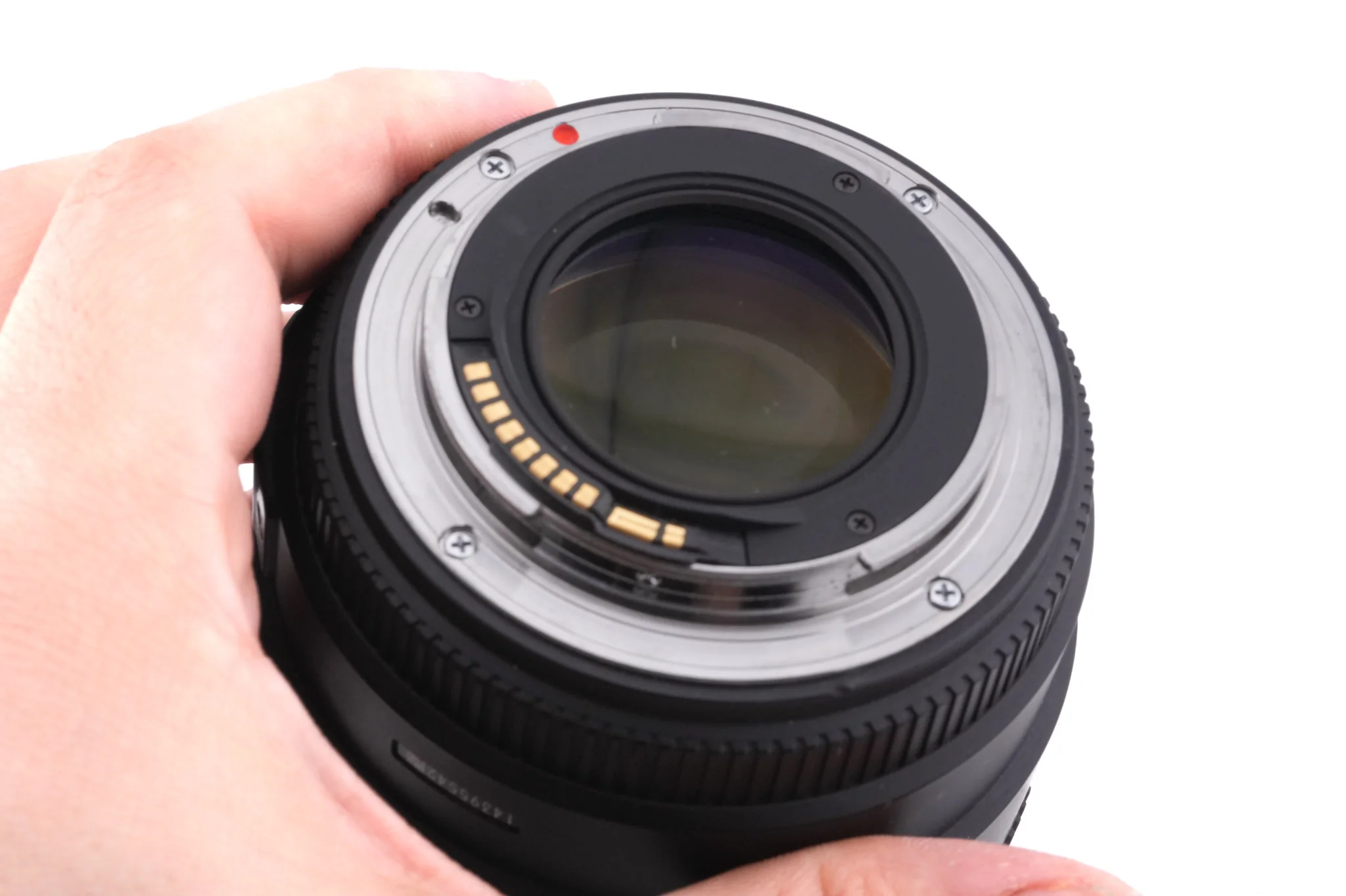 Sigma 85mm f1.4 EX DG HSM - Image 4