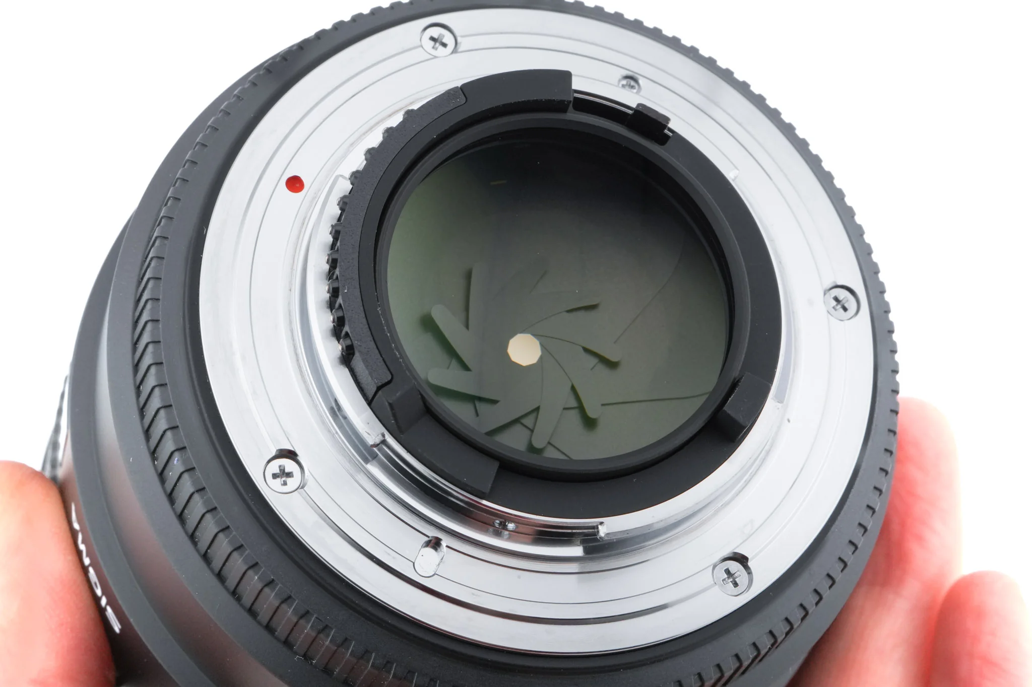 Sigma 85mm f1.4 EX DG HSM - Image 6