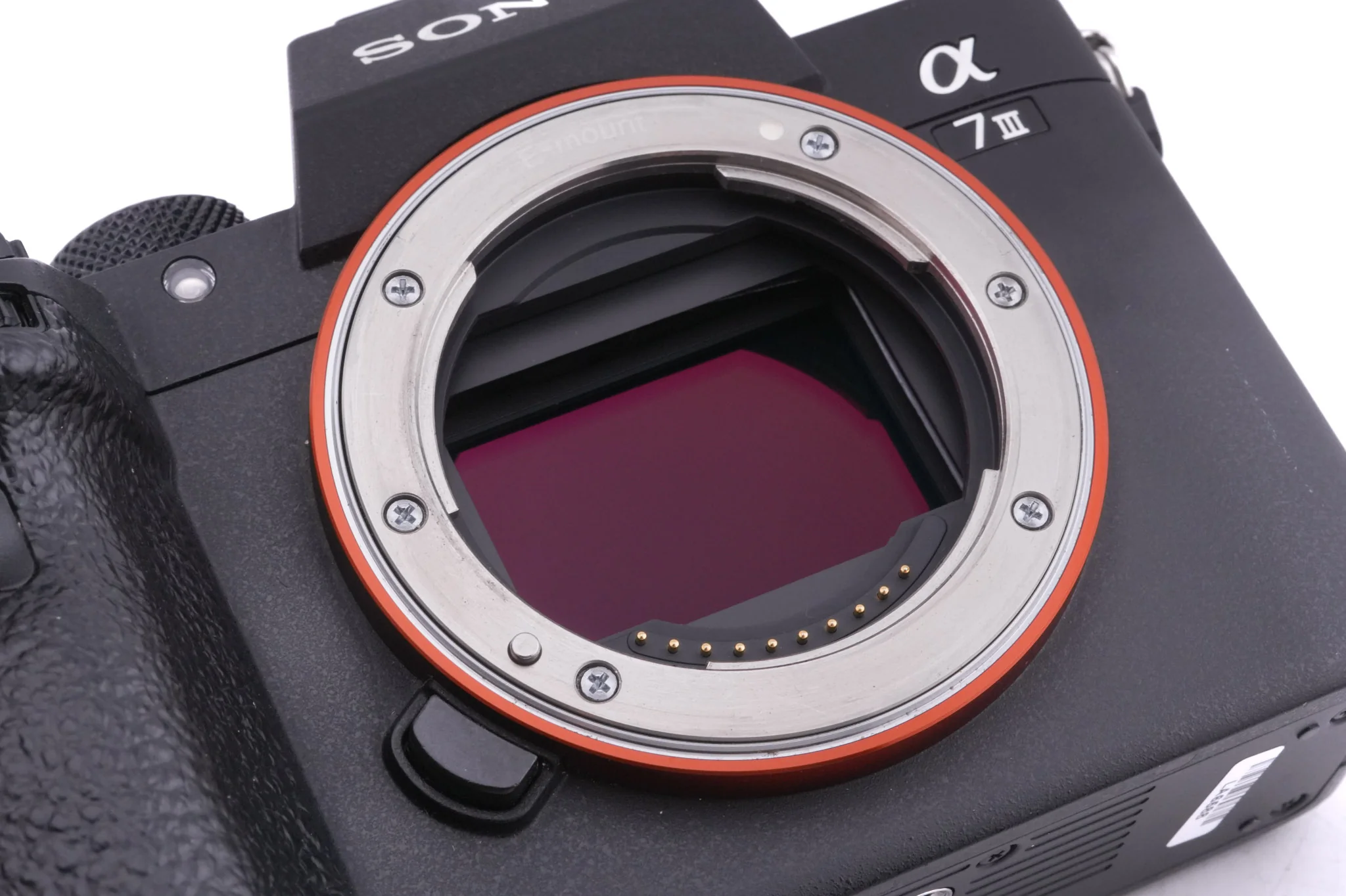 Sony A7 III - Image 6