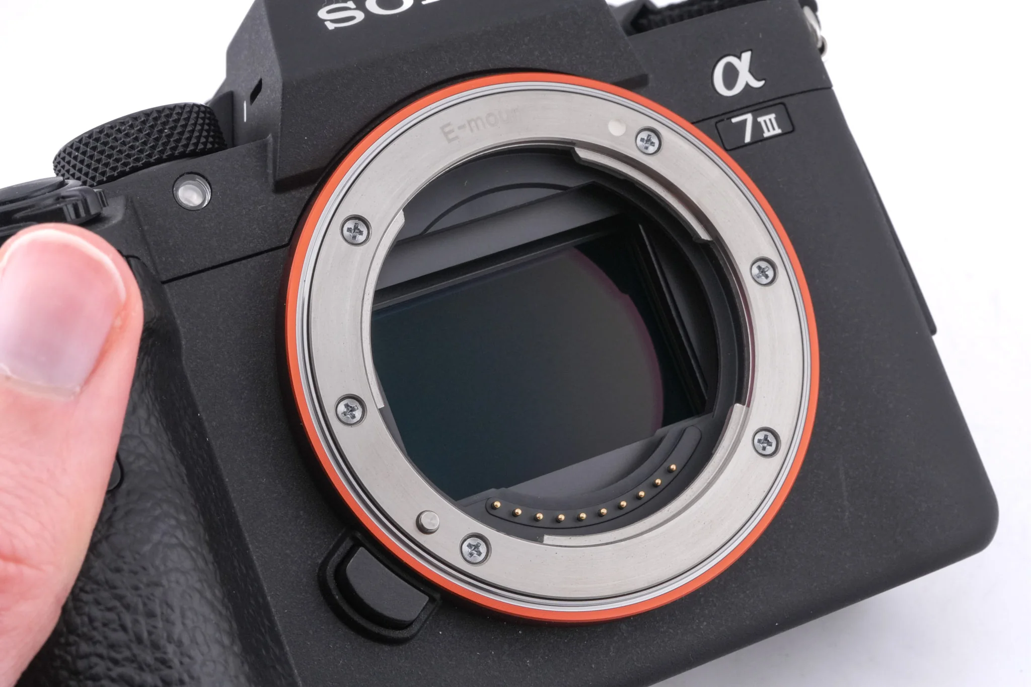 Sony A7 III - Image 8